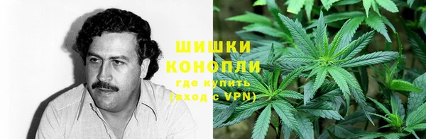 spice Алексеевка