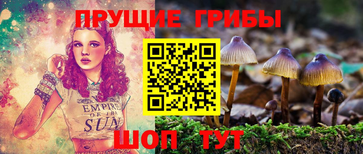 Галлюциногенные грибы мицелий  Вход с VPN  Нефтекамск  купить закладку  Псилоцибиновые грибы мухоморы 